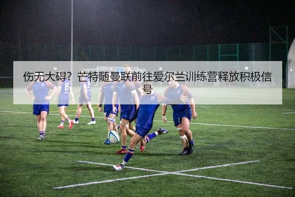 伤无大碍？芒特随曼联前往爱尔兰训练营释放积极信号 | WANMEISPORTS
