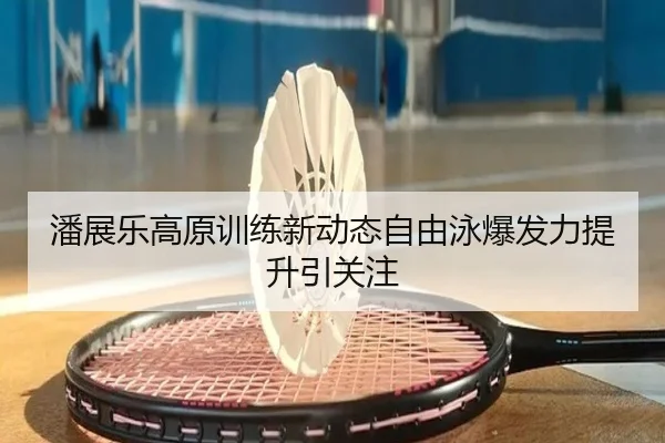 潘展乐高原训练新动态自由泳爆发力提升引关注 | WANMEISPORTS