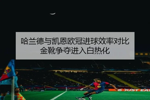 哈兰德与凯恩欧冠进球效率对比 金靴争夺进入白热化 | WANMEISPORTS